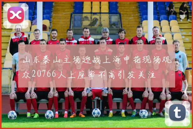 山东泰山主场迎战上海申花现场观众20766人上座率不高引发关注