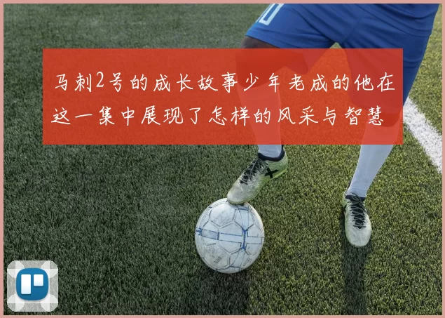 马刺2号的成长故事少年老成的他在这一集中展现了怎样的风采与智慧